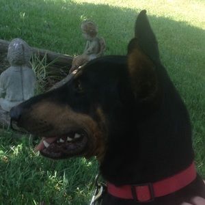 Meet your Posher, Jay